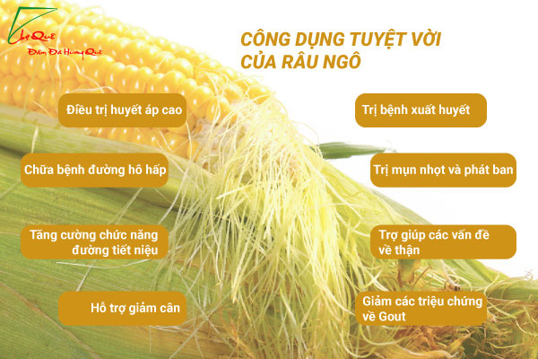 Râu ngô chữa bệnh gì?